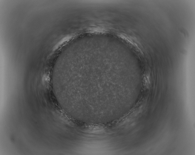 X0000115081254200911101456