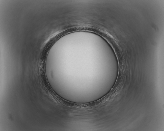 X0000115081255200911101456