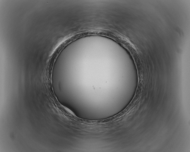 X0000115081256200911101456