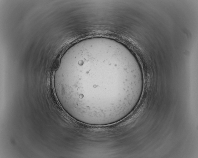 X0000115081257200911101456