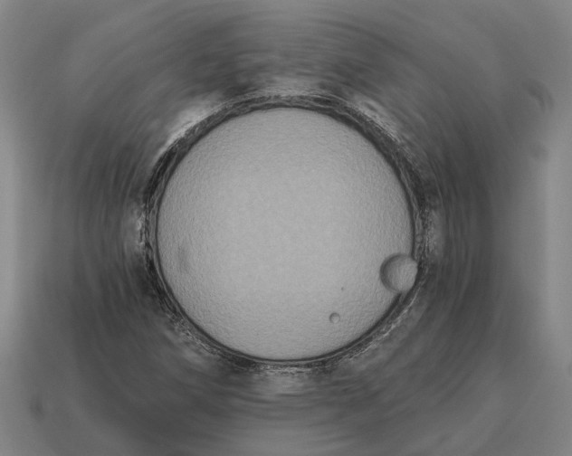 X0000115081258200911101456