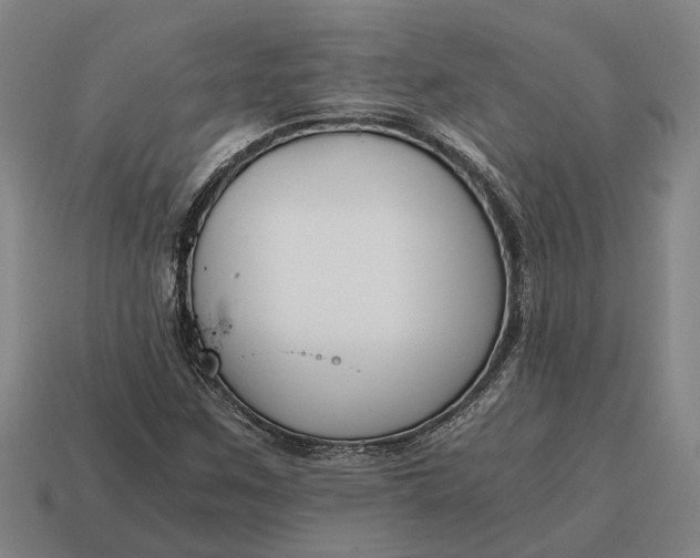 X0000115081259200911101456