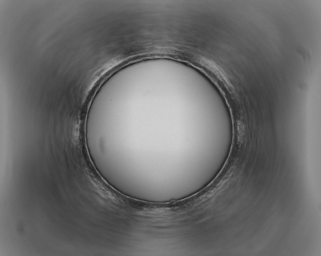 X0000115081260200911101455