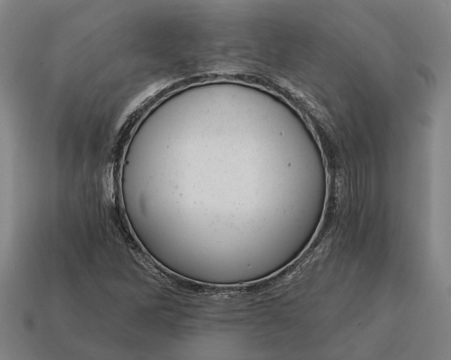 X0000115081262200911101455