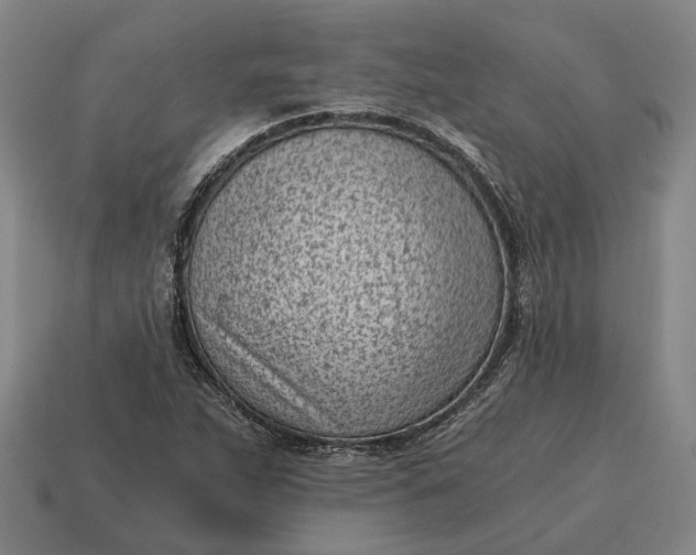 X0000115081263200911101455