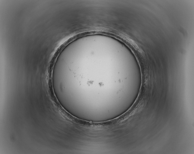 X0000115081264200911101455
