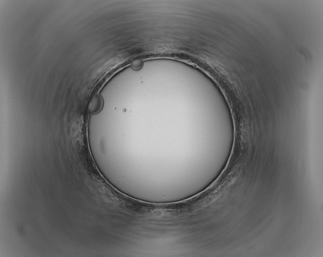 X0000115081265200911101455
