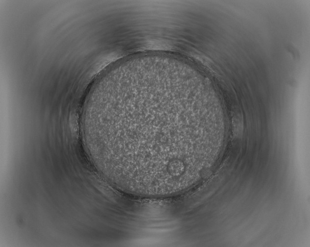 X0000115081266200911101455