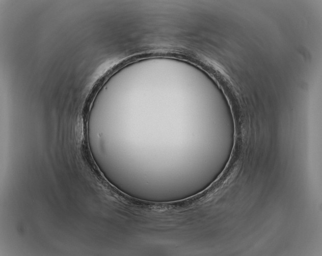 X0000115081267200911101455