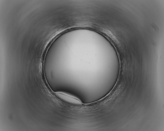 X0000115081268200911101455
