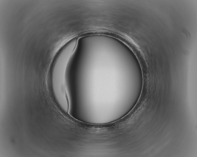 X0000115081269200911101455