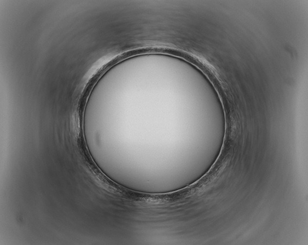 X0000115081271200911101455