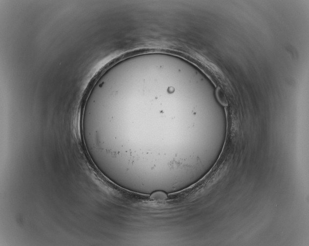 X0000115081272200911101455