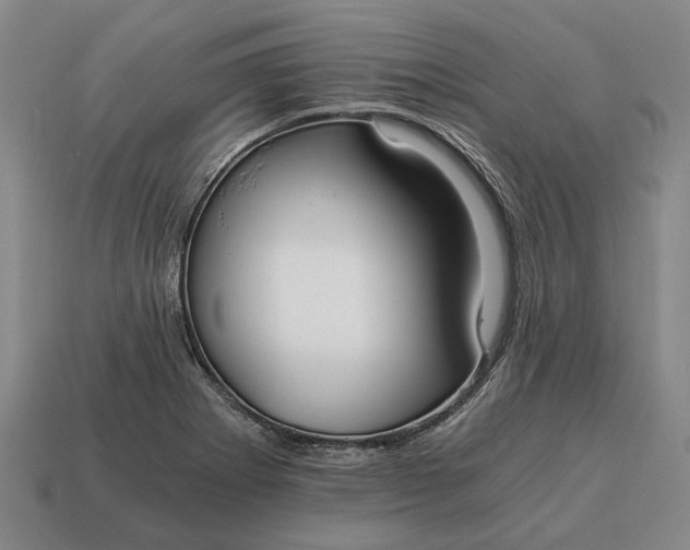 X0000115081273200911101455