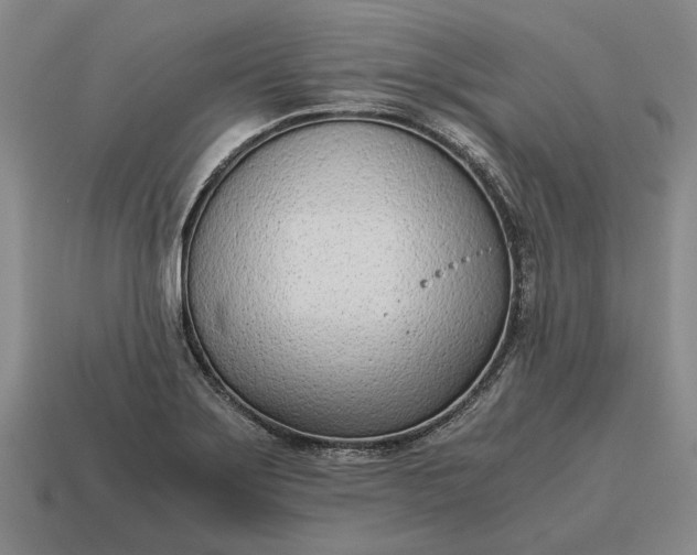 X0000115081275200911101455