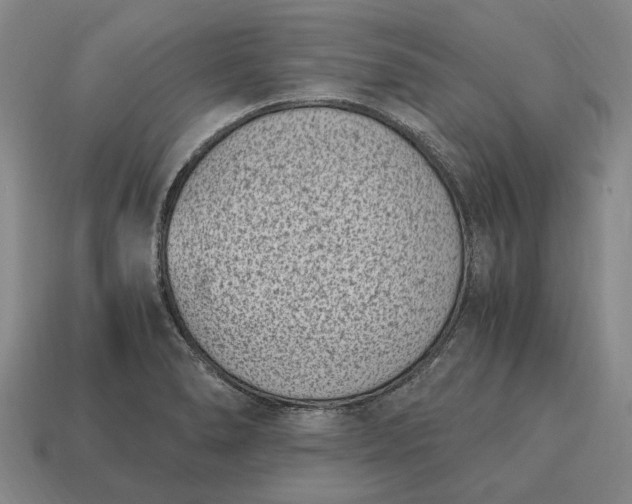 X0000115081278200911101455