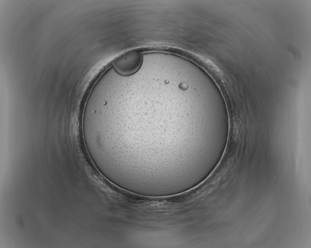 X0000115081279200911101455