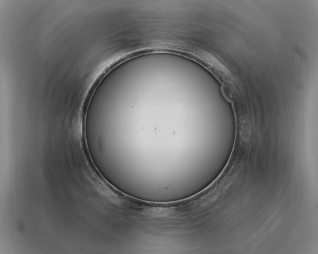 X0000115081280200911101455
