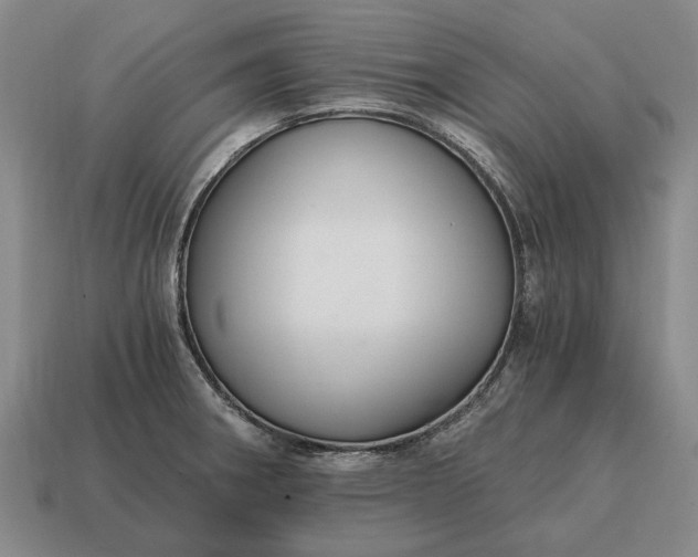 X0000115081282200911101455
