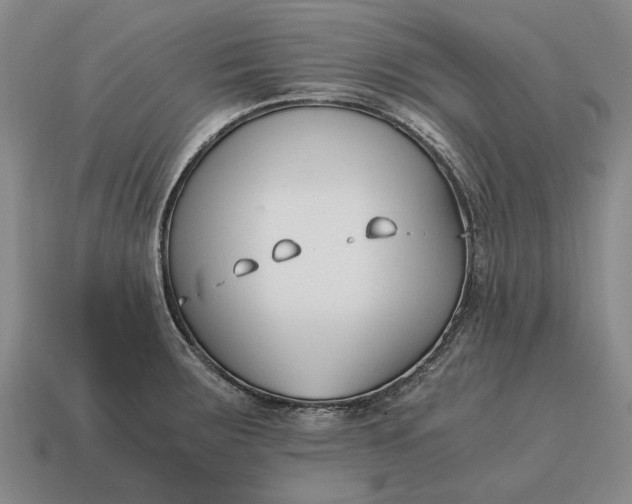 X0000115081283200911101455