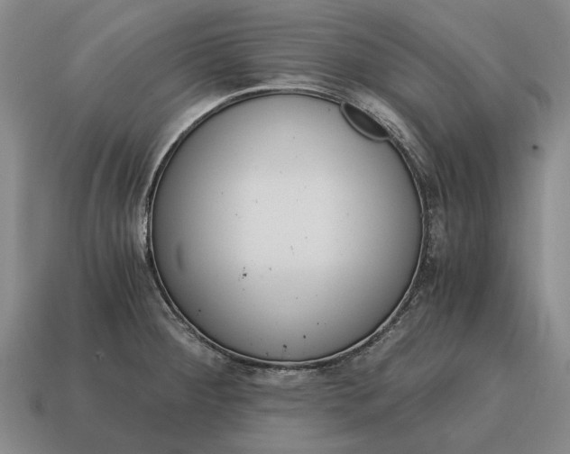 X0000115081284200911101455
