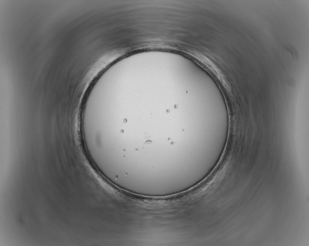 X0000115081285200911101455