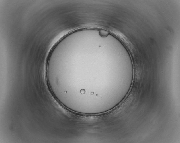X0000115081286200911101455