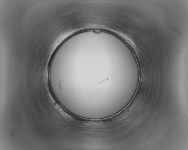 X0000115081287200911101455