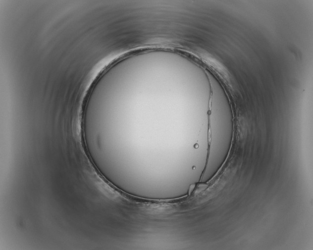 X0000115081288200911101455