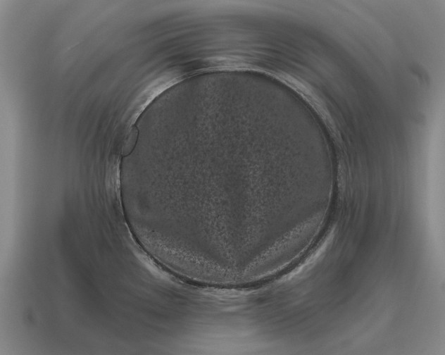 X0000115081289200911101455