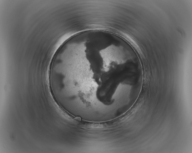 X0000115081291200911101455