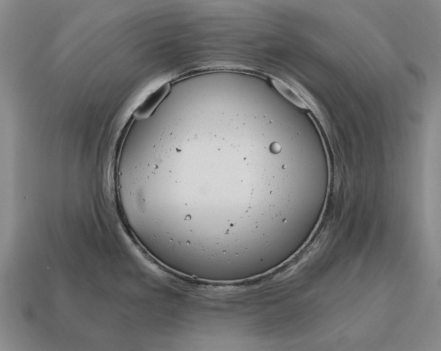 X0000115081293200911101455