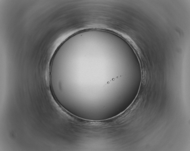 X0000115081295200911101455