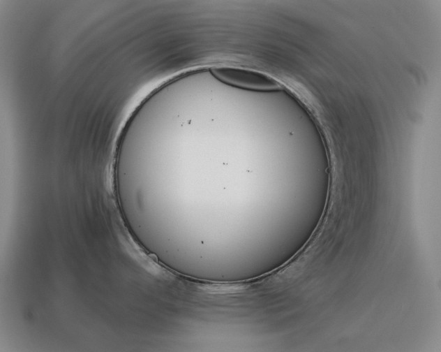 X0000115081296200911101455