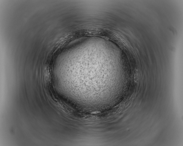 X0000115081298200911101454