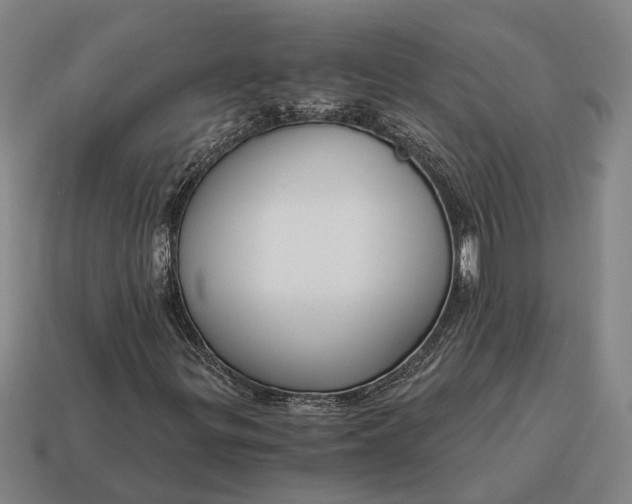 X0000115081299200911101454