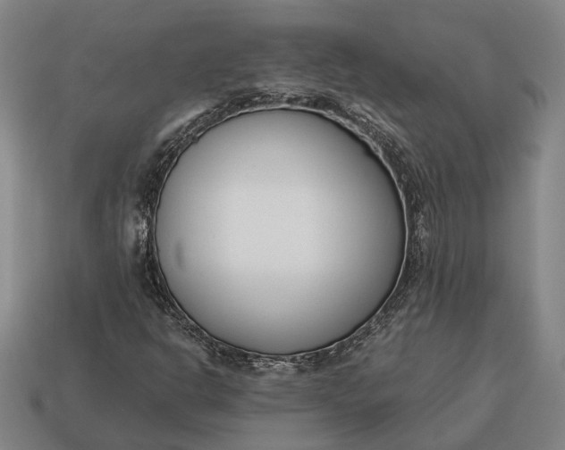 X0000115081302200911101454