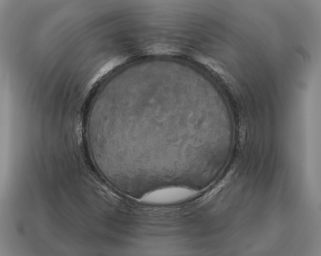 X0000115081306200911101454