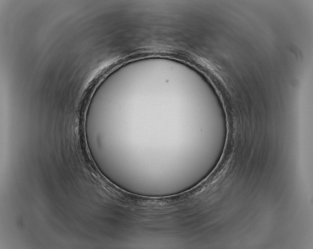 X0000115081307200911101454