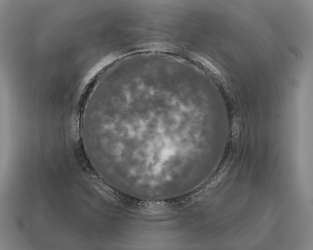 X0000115081310200911101454