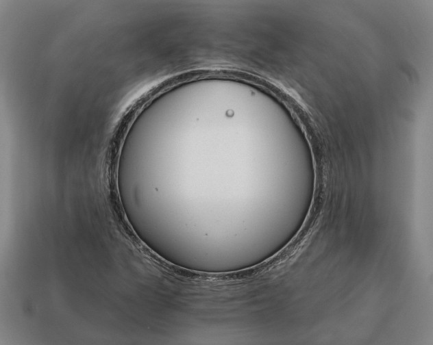 X0000115081311200911101454