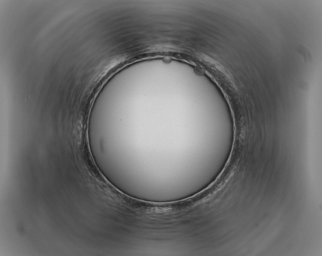 X0000115081313200911101454
