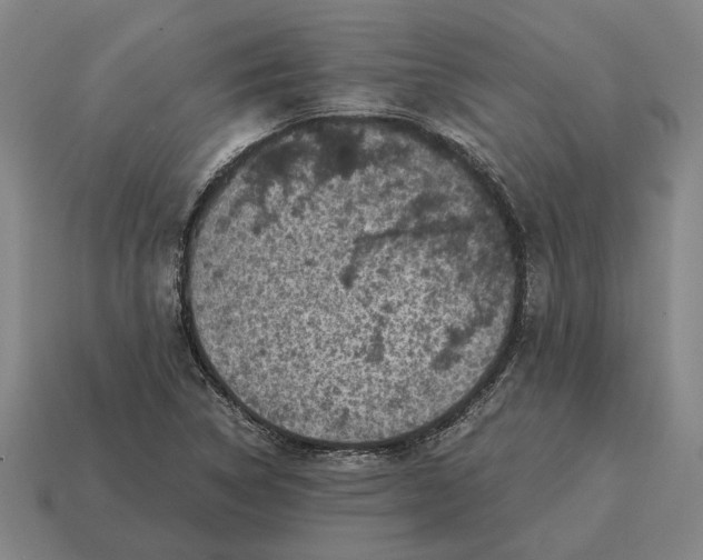 X0000115081314200911101454