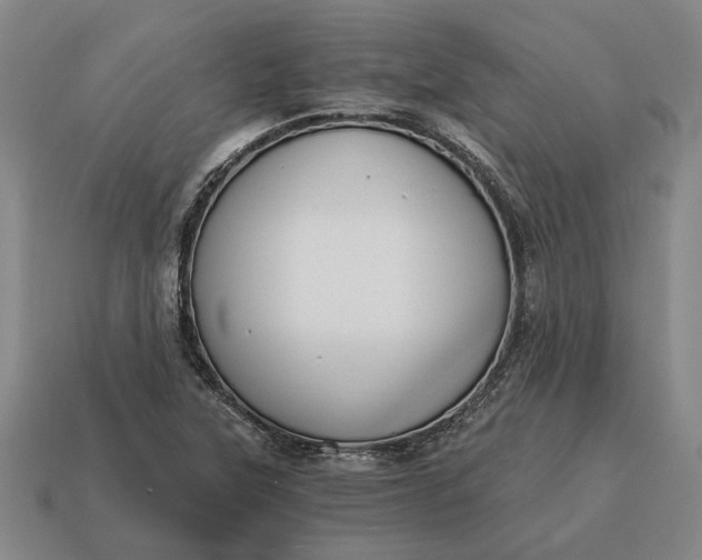 X0000115081315200911101454