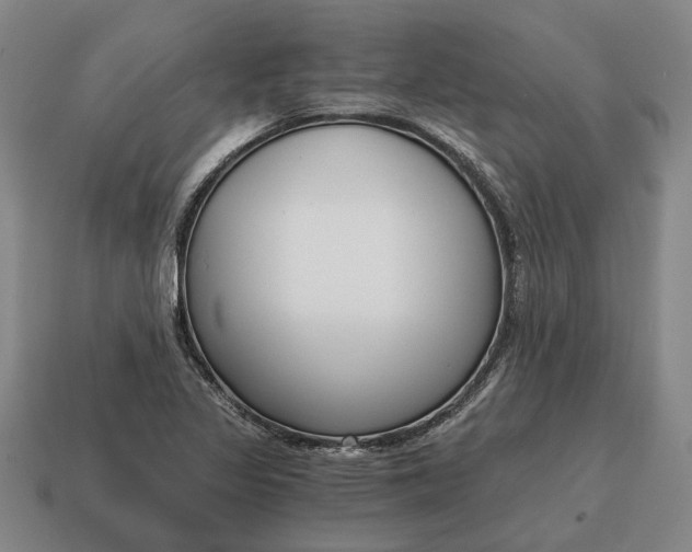 X0000115081317200911101454