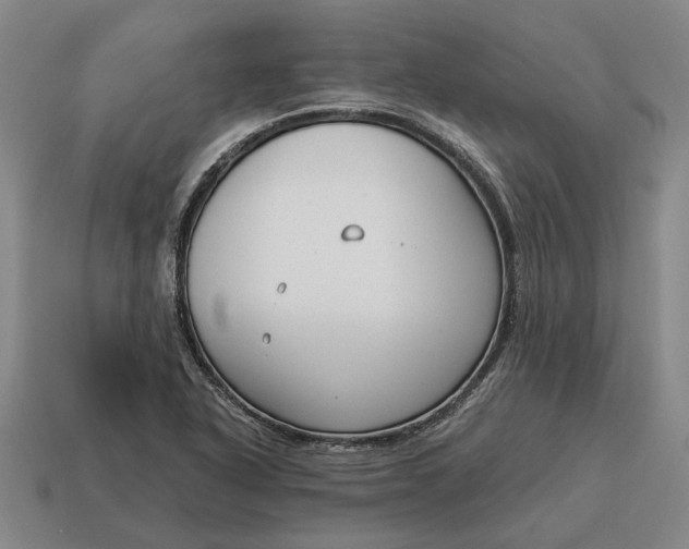 X0000115081318200911101454