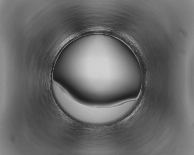 X0000115081321200911101454
