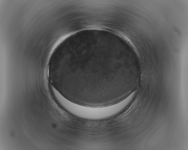 X0000115081323200911101454