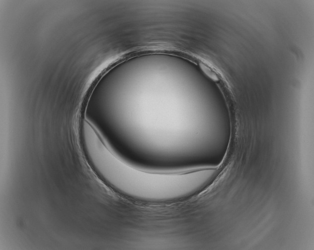 X0000115081325200911101454