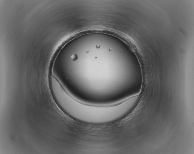 X0000115081326200911101454